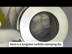 Zhuzhou Sanxin Carbide Cementado - molde