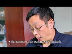 Zhuzhou Sanxin Carbide Cementado - Blade