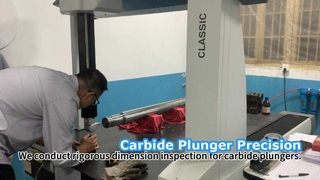 Inspeção rigorosa do êmbolo de carboneto de alta precisão
