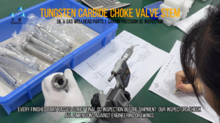 Teste de QC de precisão 100% para haste da válvula de estrangulamento de carboneto de tungstênio para campos petrolíferos | Fábrica SANXIN